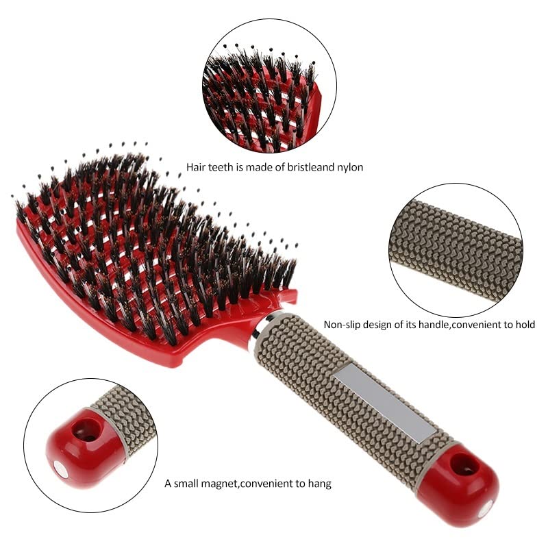 Professional Detangling Hair Brush for Wet & Dry Hair